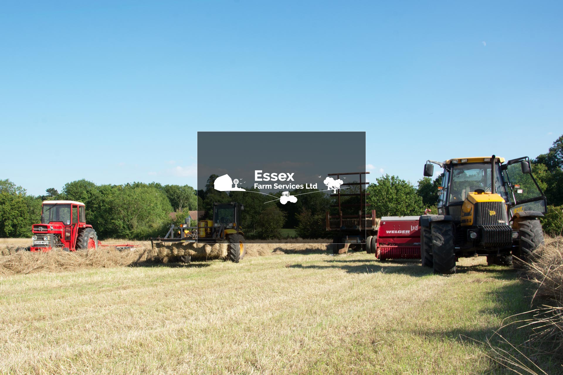 Essex Farm Services website designed, built & maintained by Lucent Dynamics